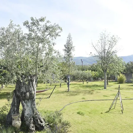 Bed & Breakfast Desea 3*