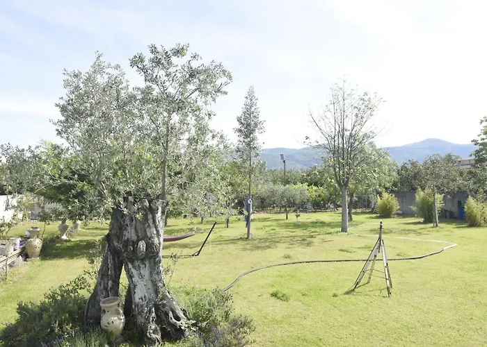 Couette-café Desea 3*